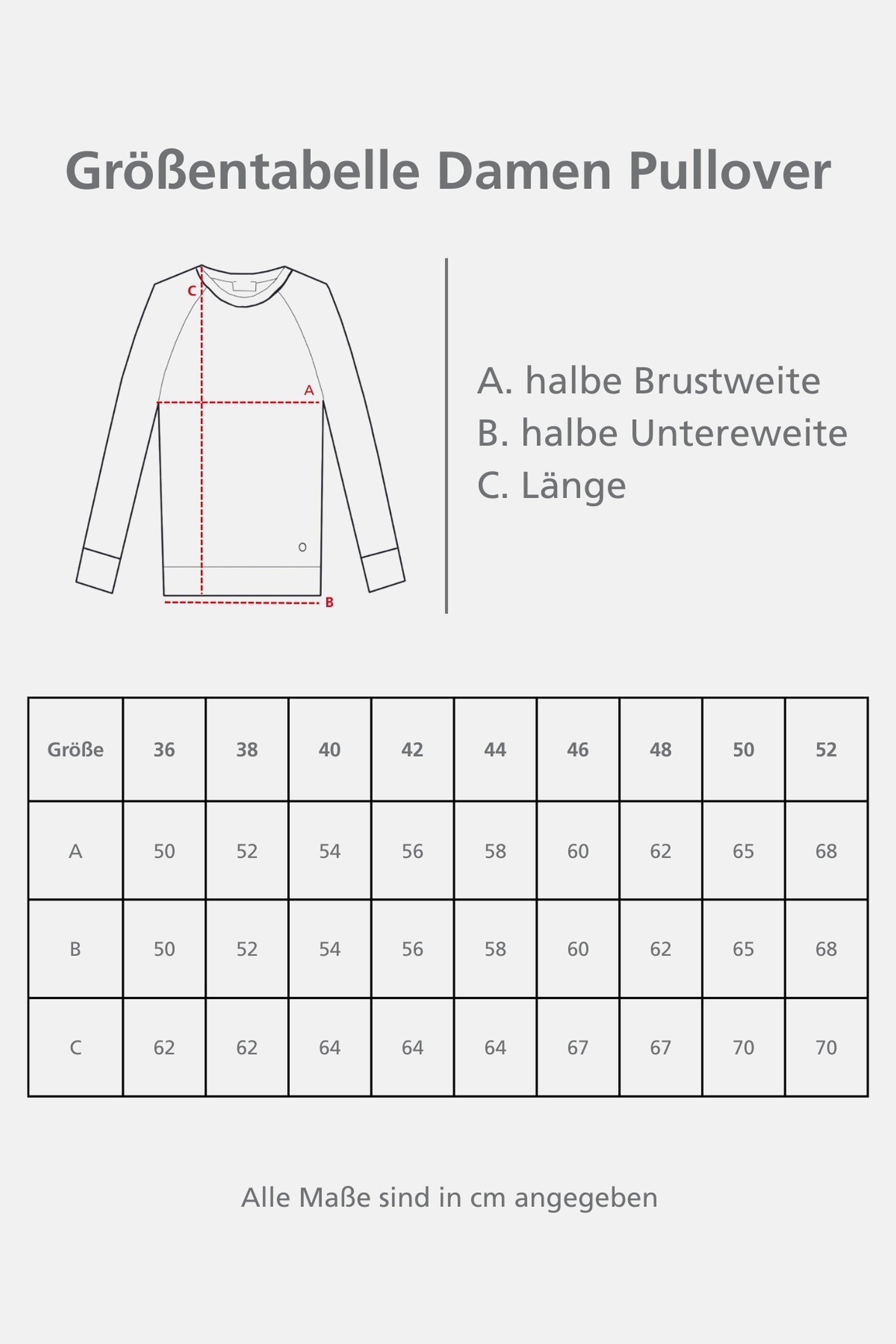 Pullover Stehkragen