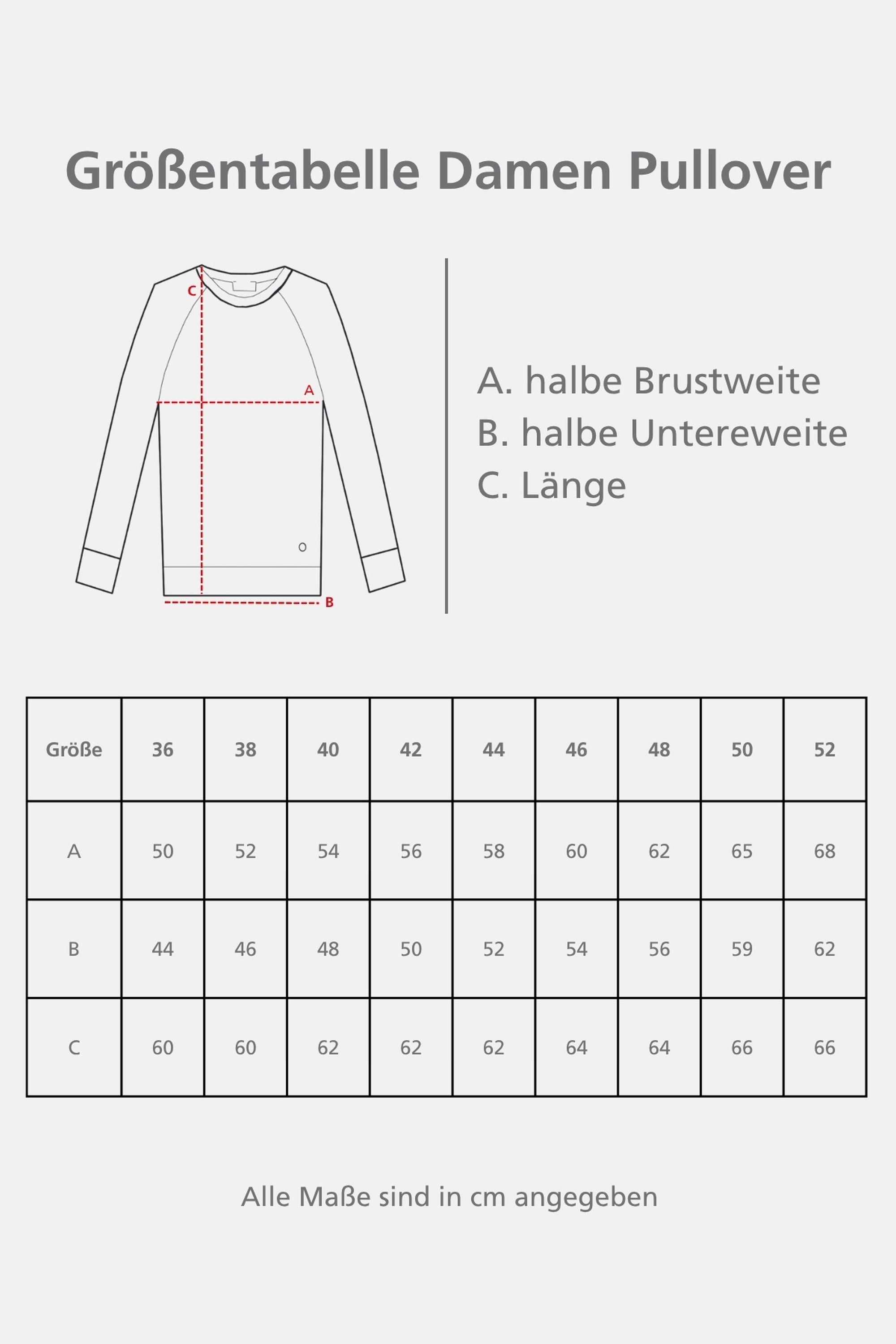 Pullover mit Raglanärmeln