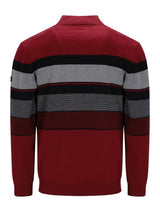 Roter und grauer gestreifter Pullover mit hohem Kragen.