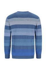 Blau gestreifter Pullover mit Rundhalsausschnitt und langen Ärmeln.